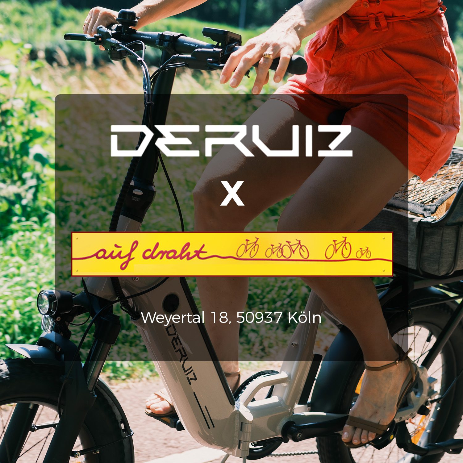 Deruiz E Bike Store