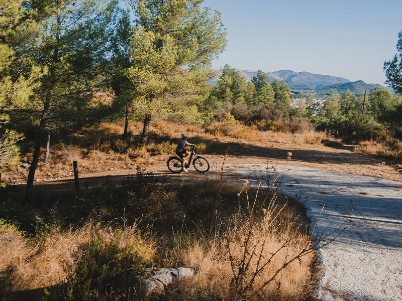 Deruiz MICA PRO – Der moderne Allrounder unter den E-Bikes